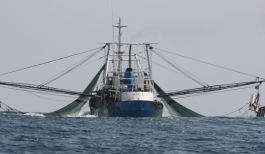 fishing-vessel-trawler-by-science-for-environment-policy