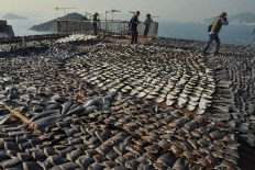shark-finning-agence-france-presse-getty-images-shark-fins-drying-in-the-sun-cover-the-roof-of-a-factory-building-in-hong-kong-on-january-2013