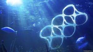 plastic-in-the-ocean-los-peces-ingieren-los-trozos-diminutos-de-plastico-y-asi-es-como-ingresan-en-la-cadena-alimenticia